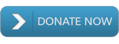 This button will take you to the donate page